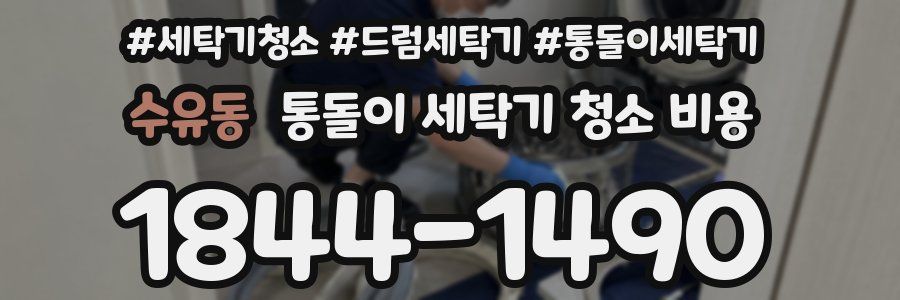 수유동 통돌이 세탁기 청소 비용