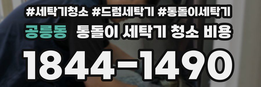 공릉동 통돌이 세탁기 청소 비용