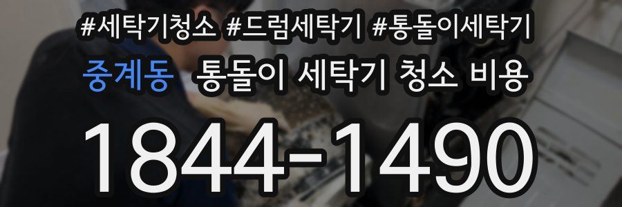 중계동 통돌이 세탁기 청소 비용
