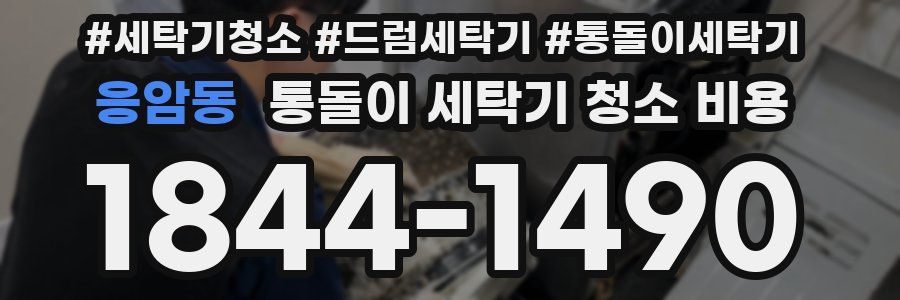 응암동 통돌이 세탁기 청소 비용