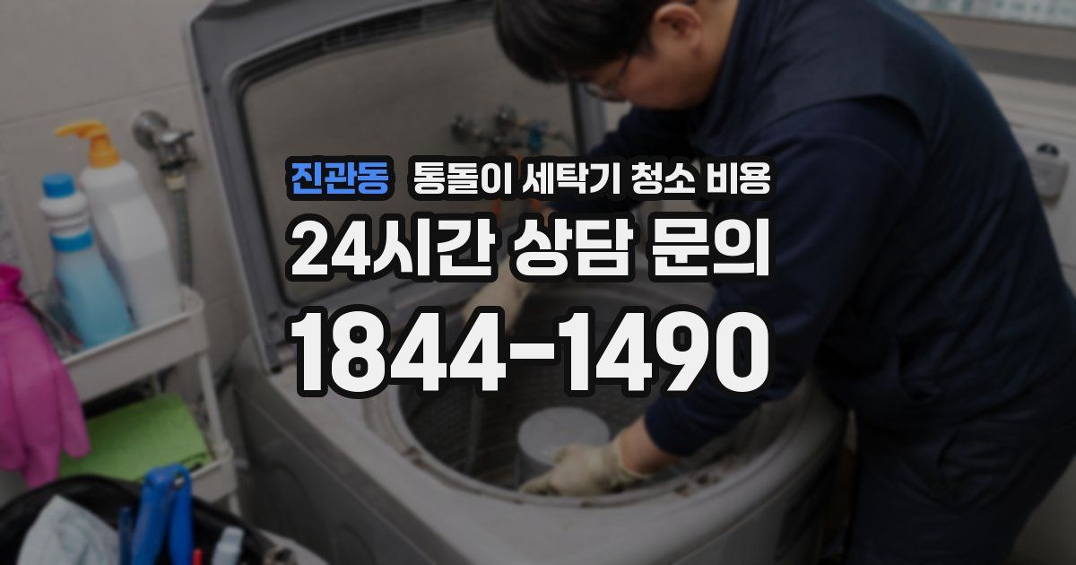 진관동 통돌이 세탁기 청소 비용