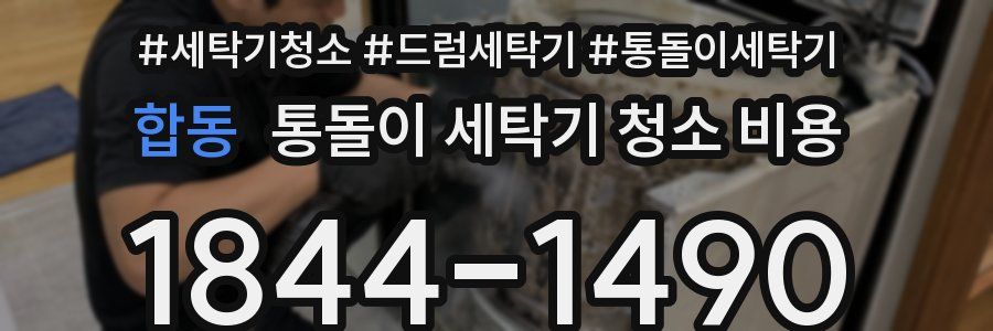 합동 통돌이 세탁기 청소 비용