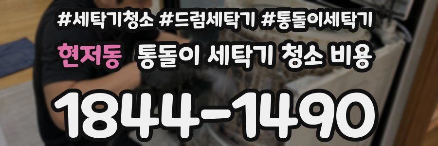 현저동 통돌이 세탁기 청소 비용