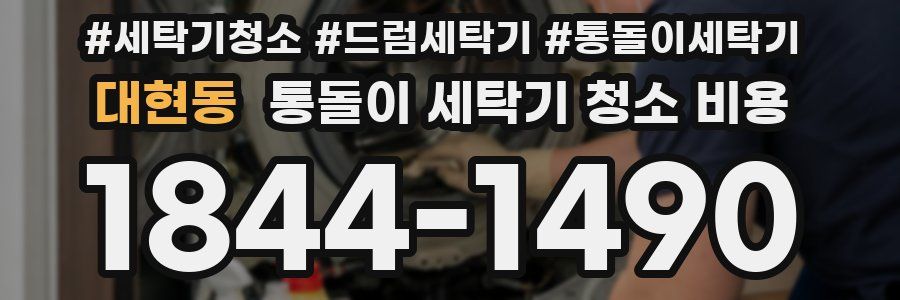 대현동 통돌이 세탁기 청소 비용