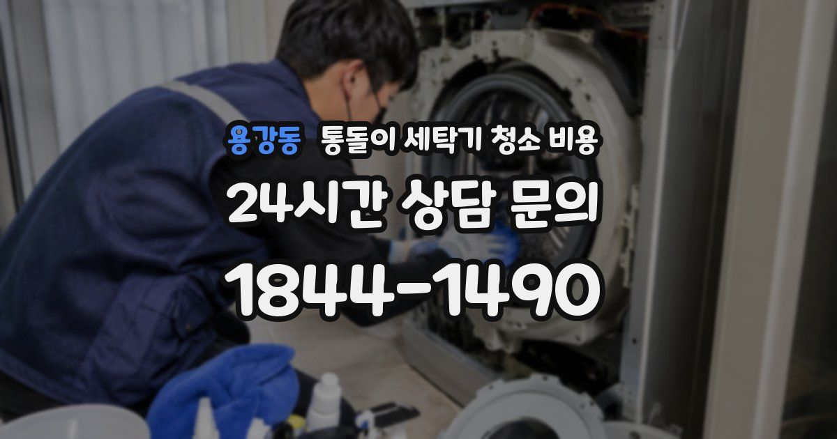 용강동 통돌이 세탁기 청소 비용
