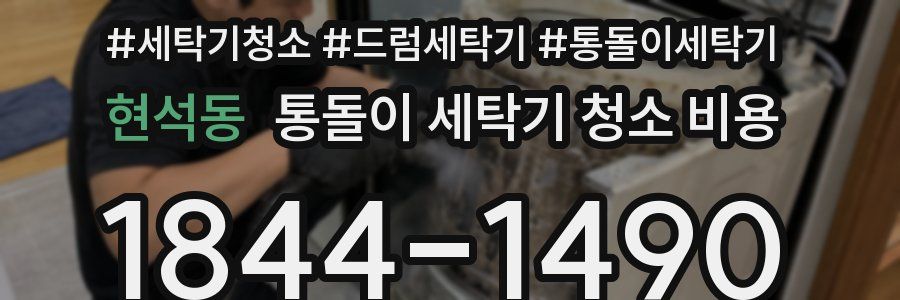 현석동 통돌이 세탁기 청소 비용