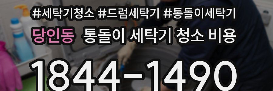 당인동 통돌이 세탁기 청소 비용