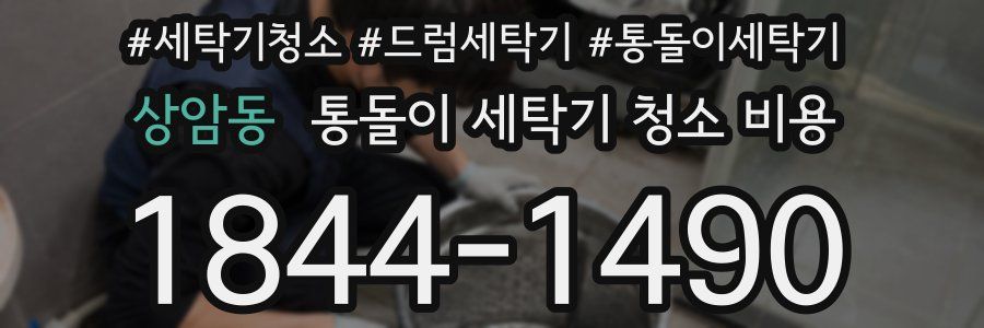 상암동 통돌이 세탁기 청소 비용