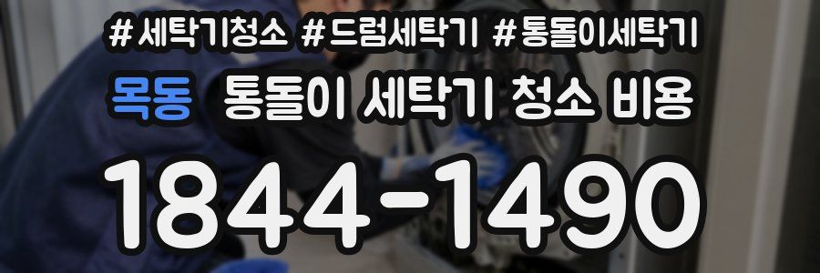 목동 통돌이 세탁기 청소 비용