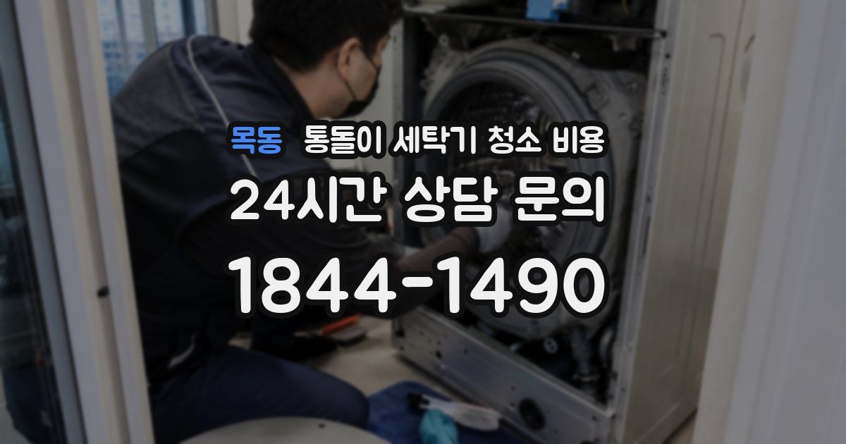 목동 통돌이 세탁기 청소 비용