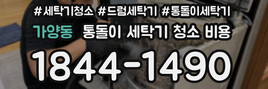 가양동 통돌이 세탁기 청소 비용