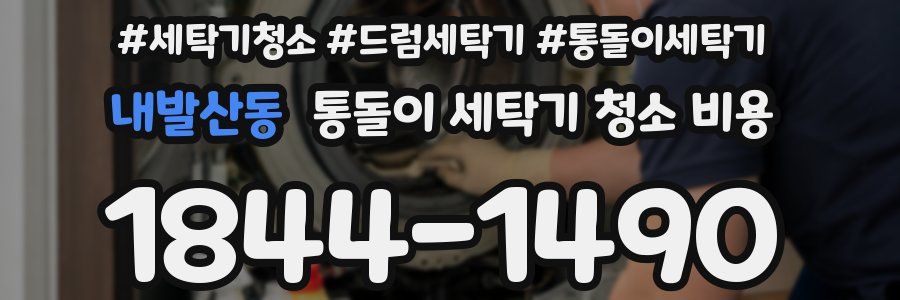 내발산동 통돌이 세탁기 청소 비용