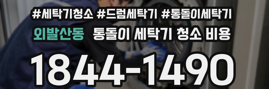 외발산동 통돌이 세탁기 청소 비용