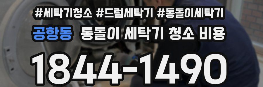 공항동 통돌이 세탁기 청소 비용