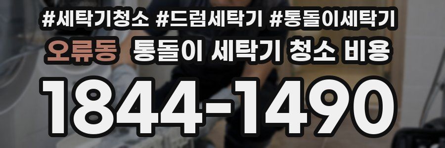 오류동 통돌이 세탁기 청소 비용