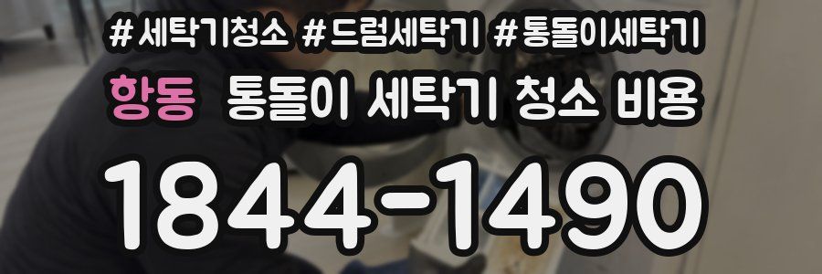 항동 통돌이 세탁기 청소 비용