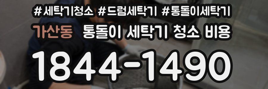 가산동 통돌이 세탁기 청소 비용