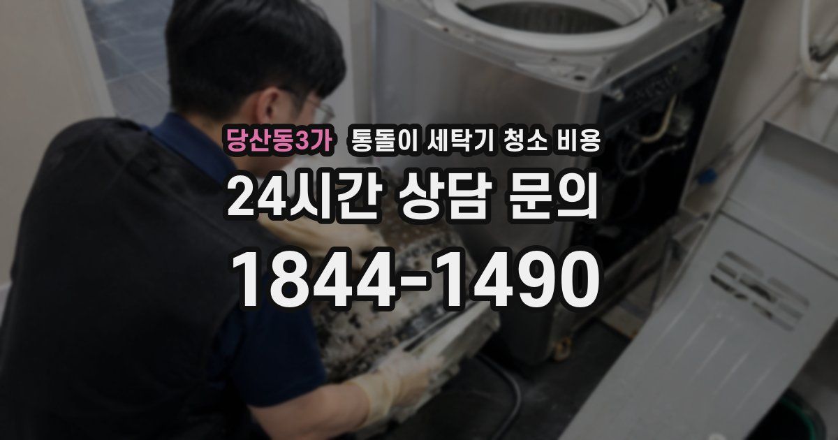 당산동3가 통돌이 세탁기 청소 비용