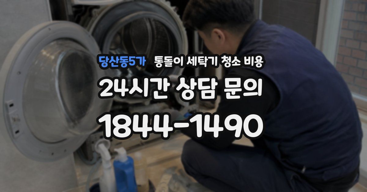 당산동5가 통돌이 세탁기 청소 비용