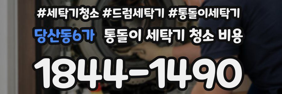 당산동6가 통돌이 세탁기 청소 비용