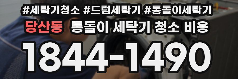 당산동 통돌이 세탁기 청소 비용
