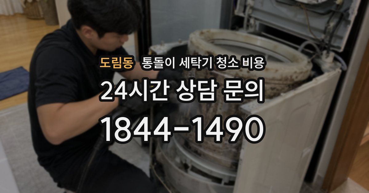 도림동 통돌이 세탁기 청소 비용