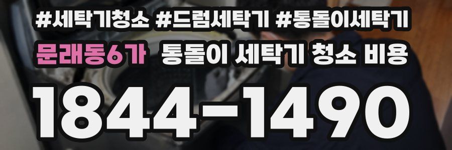 문래동6가 통돌이 세탁기 청소 비용
