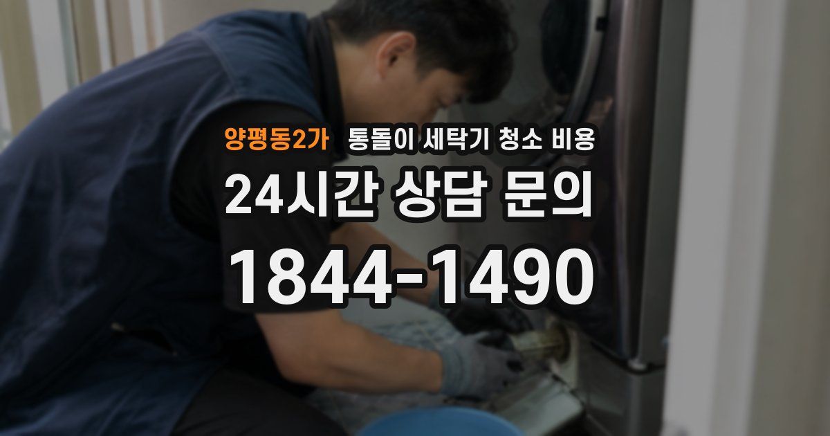 양평동2가 통돌이 세탁기 청소 비용