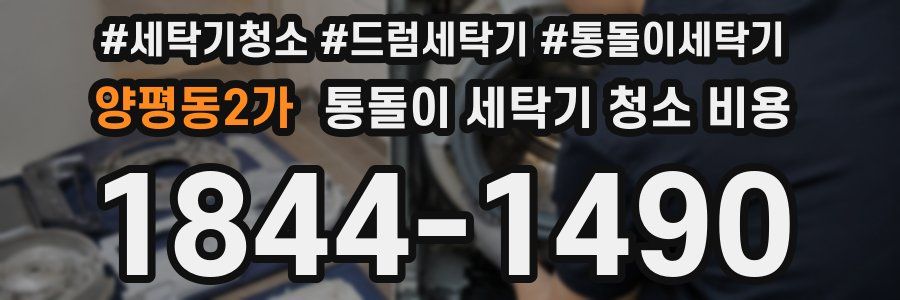 양평동2가 통돌이 세탁기 청소 비용