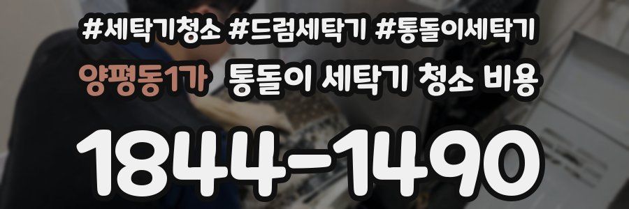 양평동1가 통돌이 세탁기 청소 비용