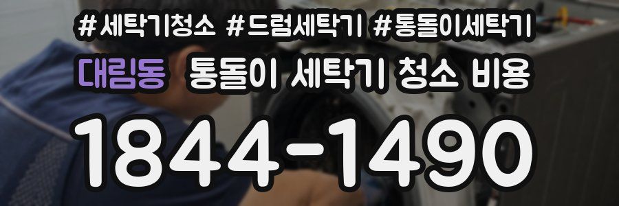 대림동 통돌이 세탁기 청소 비용
