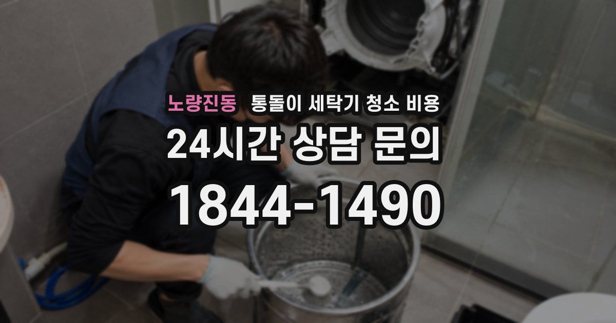 노량진동 통돌이 세탁기 청소 비용