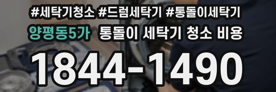 양평동5가 통돌이 세탁기 청소 비용