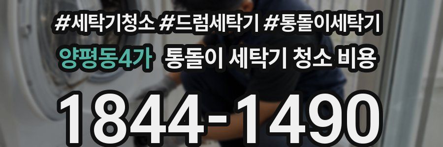 양평동4가 통돌이 세탁기 청소 비용