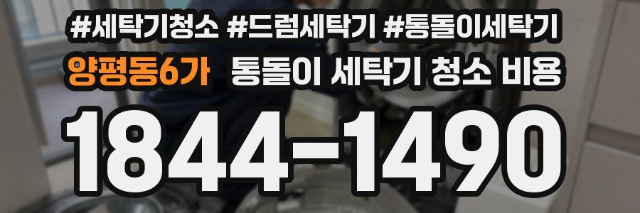 양평동6가 통돌이 세탁기 청소 비용