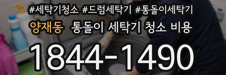 양재동 통돌이 세탁기 청소 비용