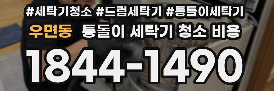우면동 통돌이 세탁기 청소 비용