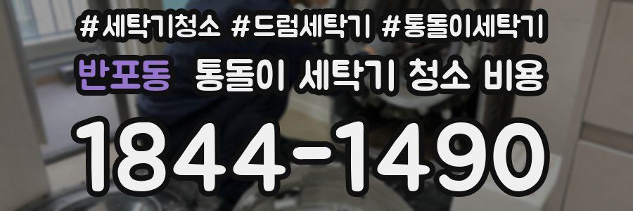 반포동 통돌이 세탁기 청소 비용