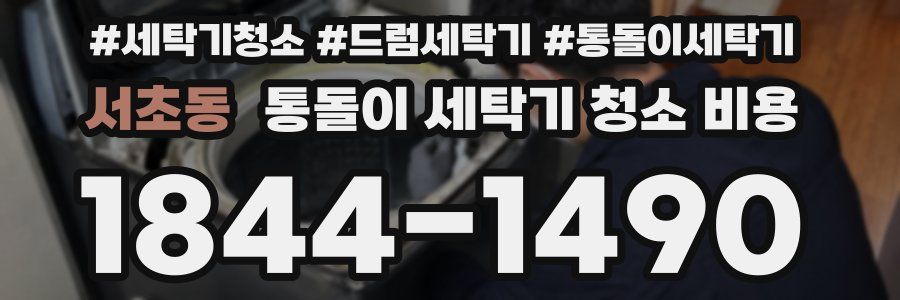 서초동 통돌이 세탁기 청소 비용