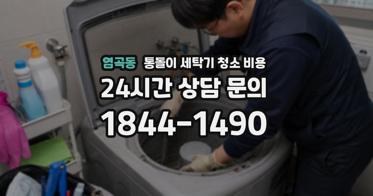 염곡동 통돌이 세탁기 청소 비용