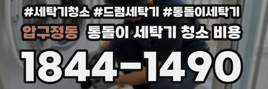압구정동 통돌이 세탁기 청소 비용