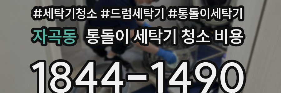 자곡동 통돌이 세탁기 청소 비용