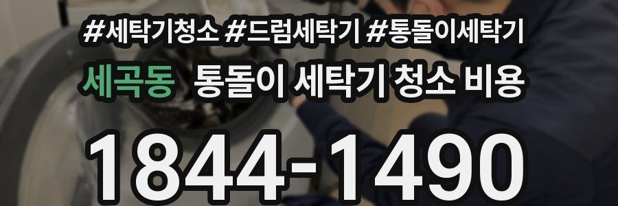 세곡동 통돌이 세탁기 청소 비용