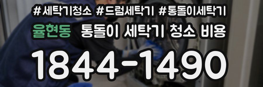율현동 통돌이 세탁기 청소 비용