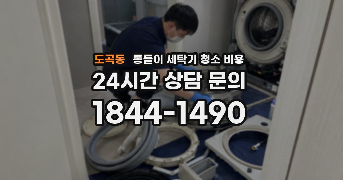도곡동 통돌이 세탁기 청소 비용