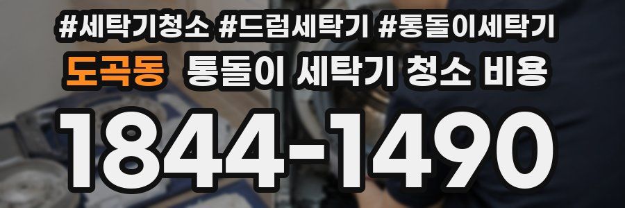 도곡동 통돌이 세탁기 청소 비용