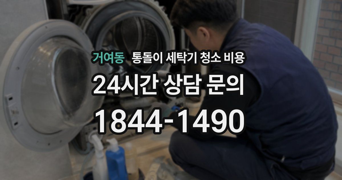 거여동 통돌이 세탁기 청소 비용