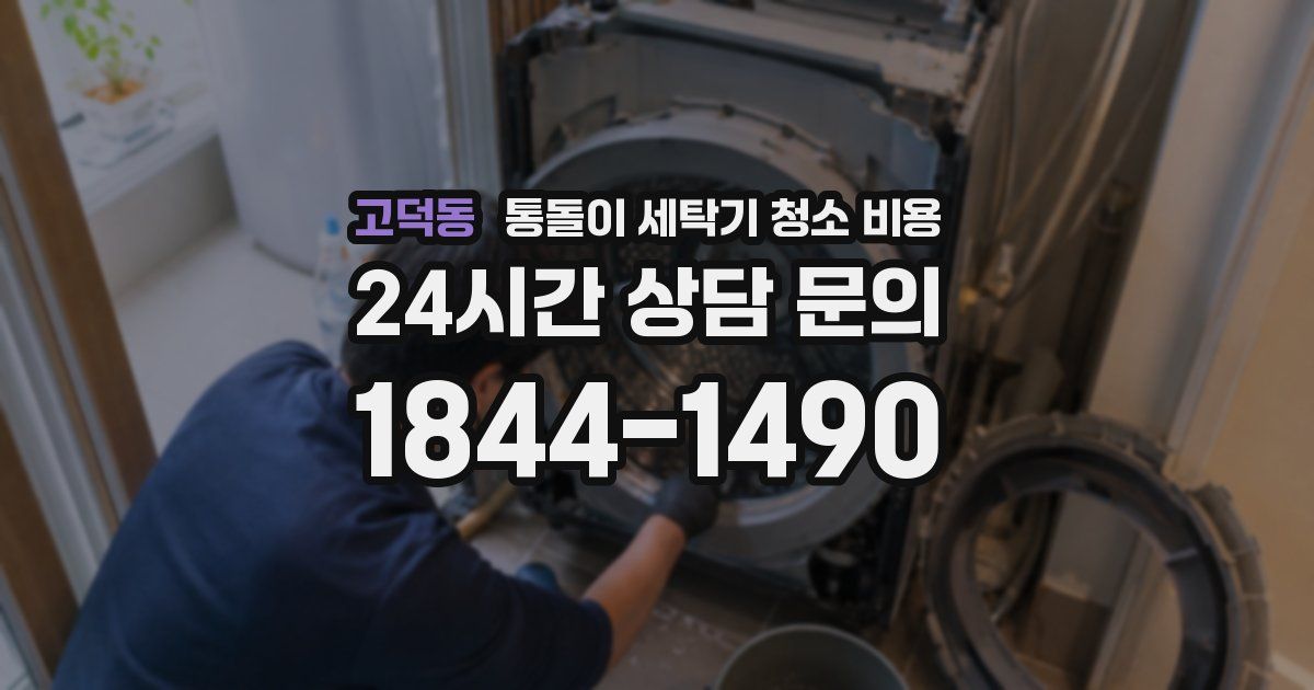 고덕동 통돌이 세탁기 청소 비용