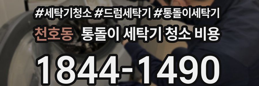 천호동 통돌이 세탁기 청소 비용