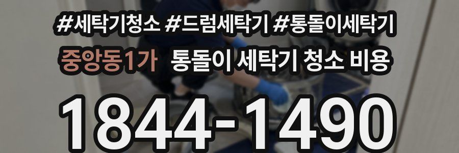 중앙동1가 통돌이 세탁기 청소 비용